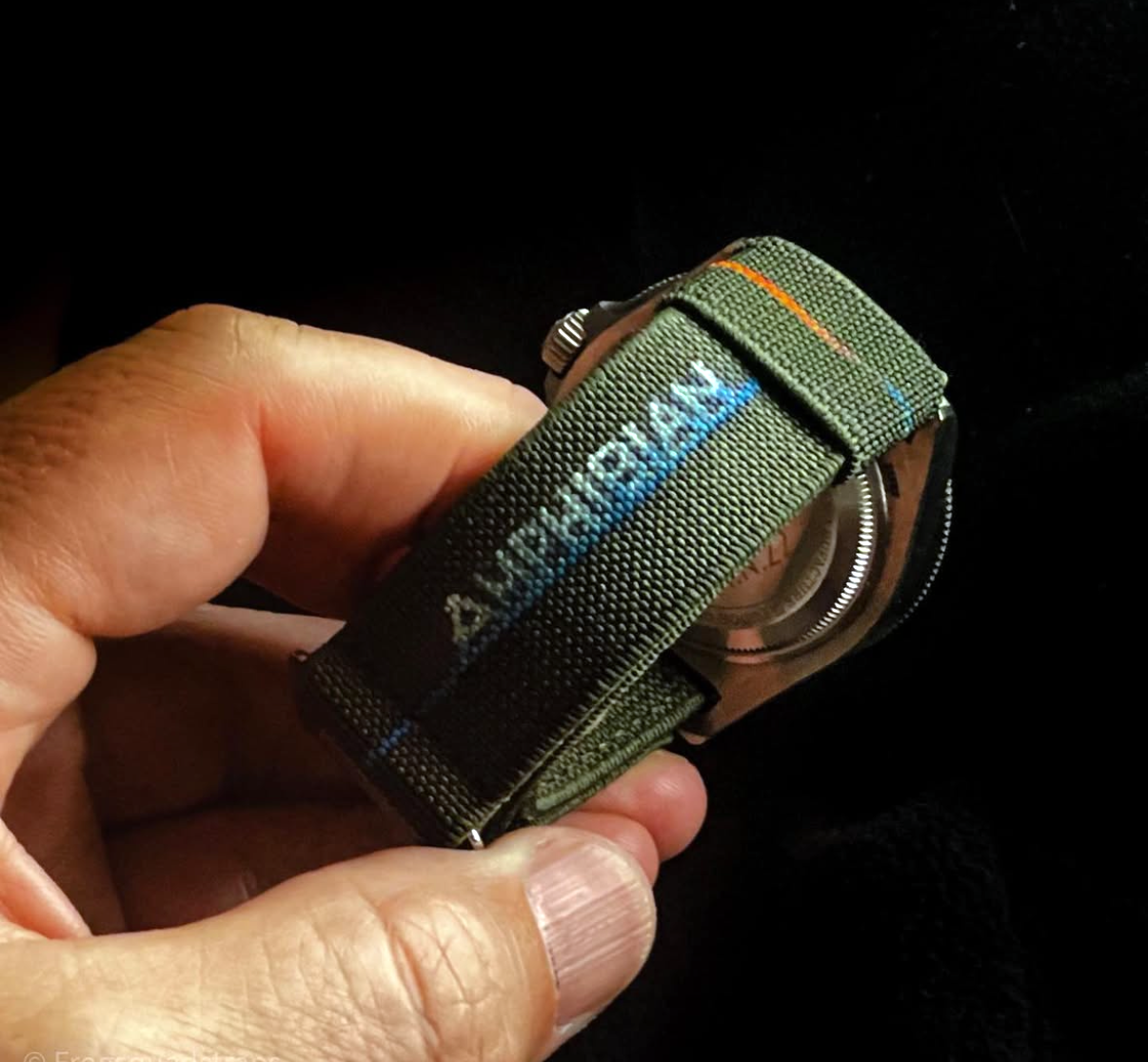 AMPHIBIAN™ Watch Strap