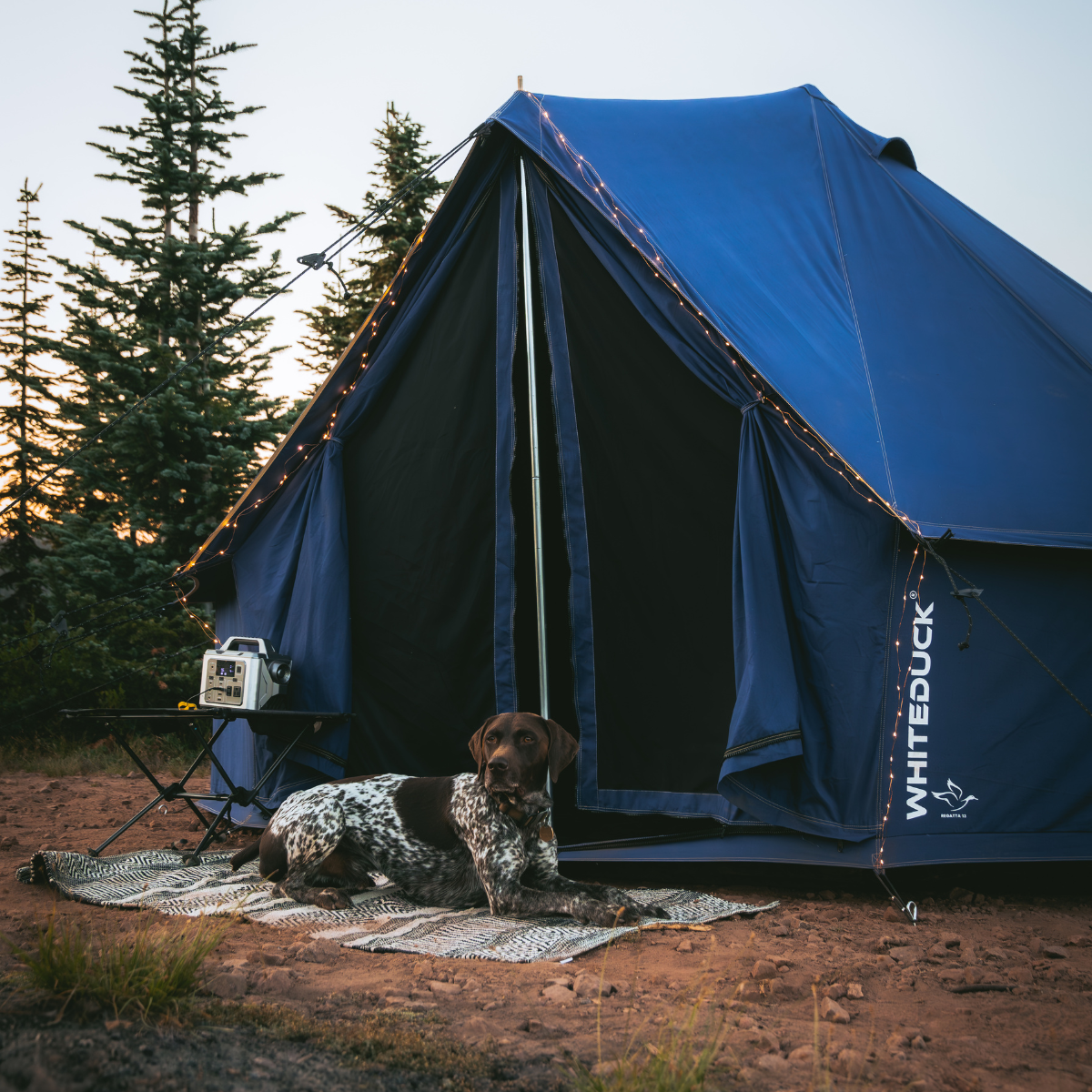 20' Regatta Bell Tent