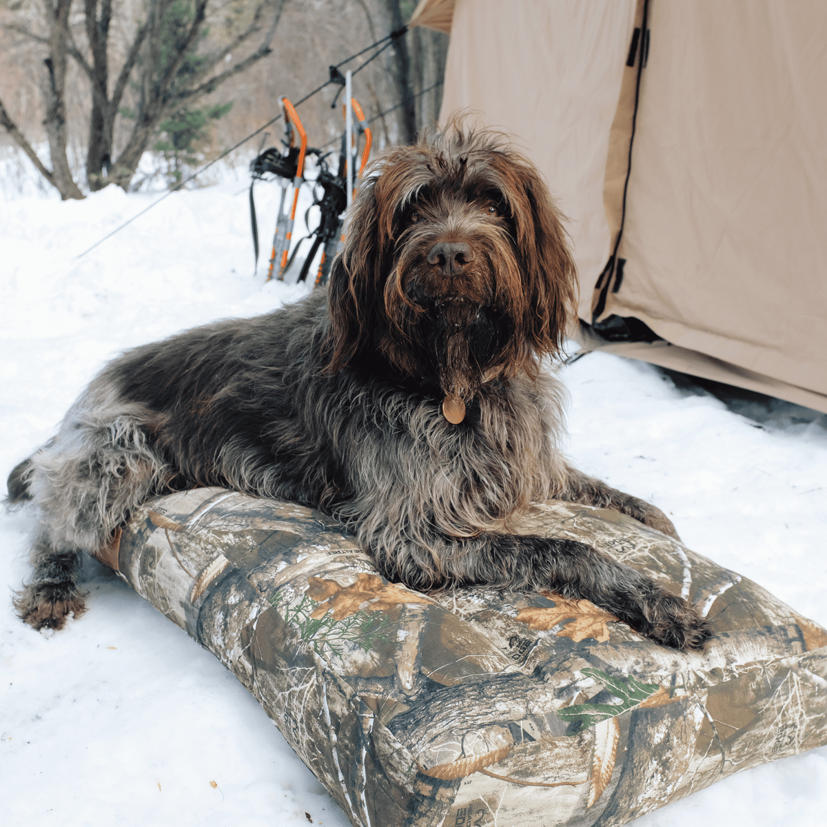 Dog Bed
