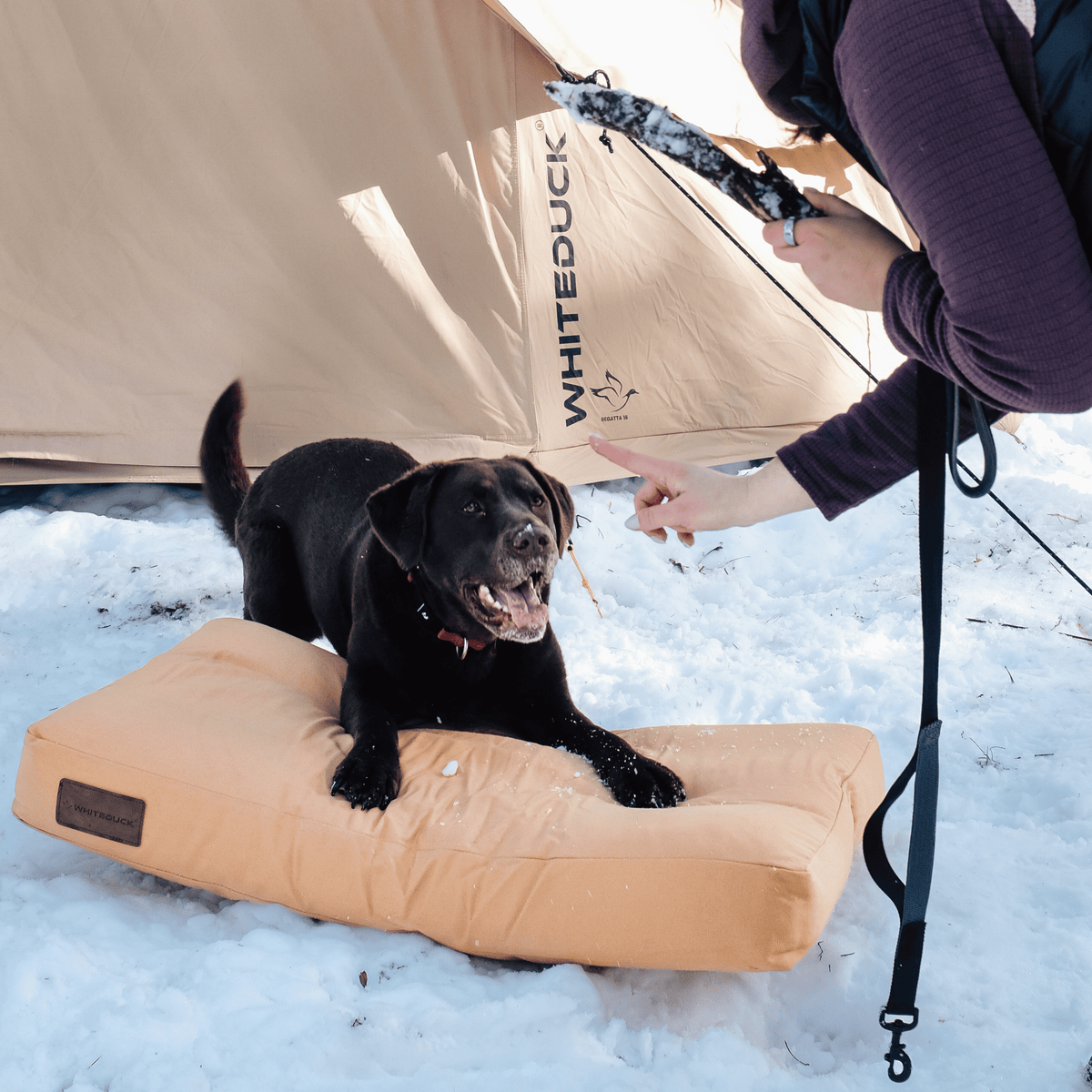 Dog Bed