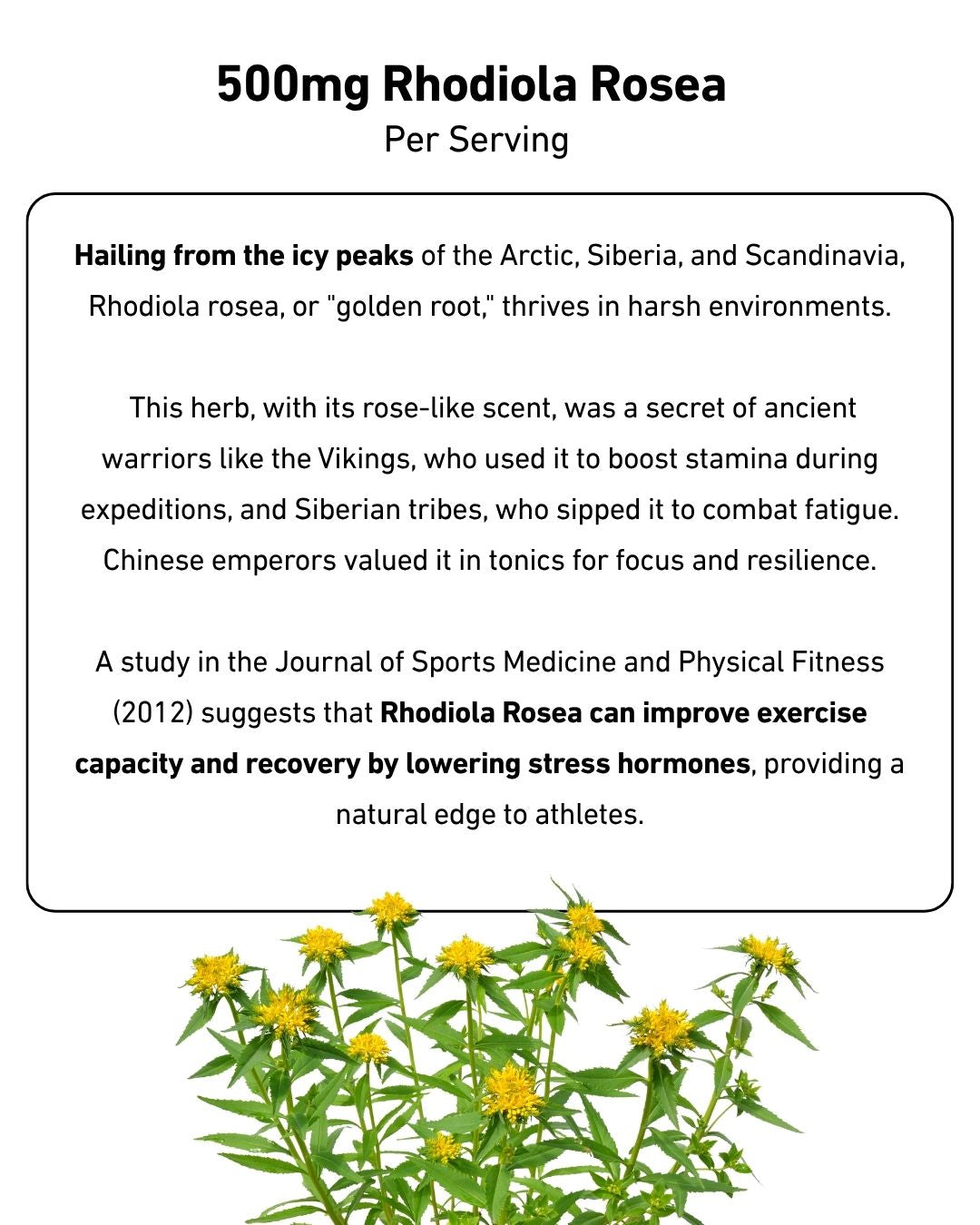 Blud® Cherry Piña Energy & Endurance Superfood Pre-Workout