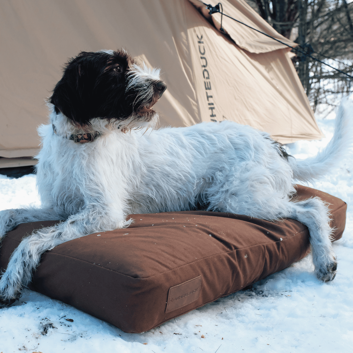 Dog Bed