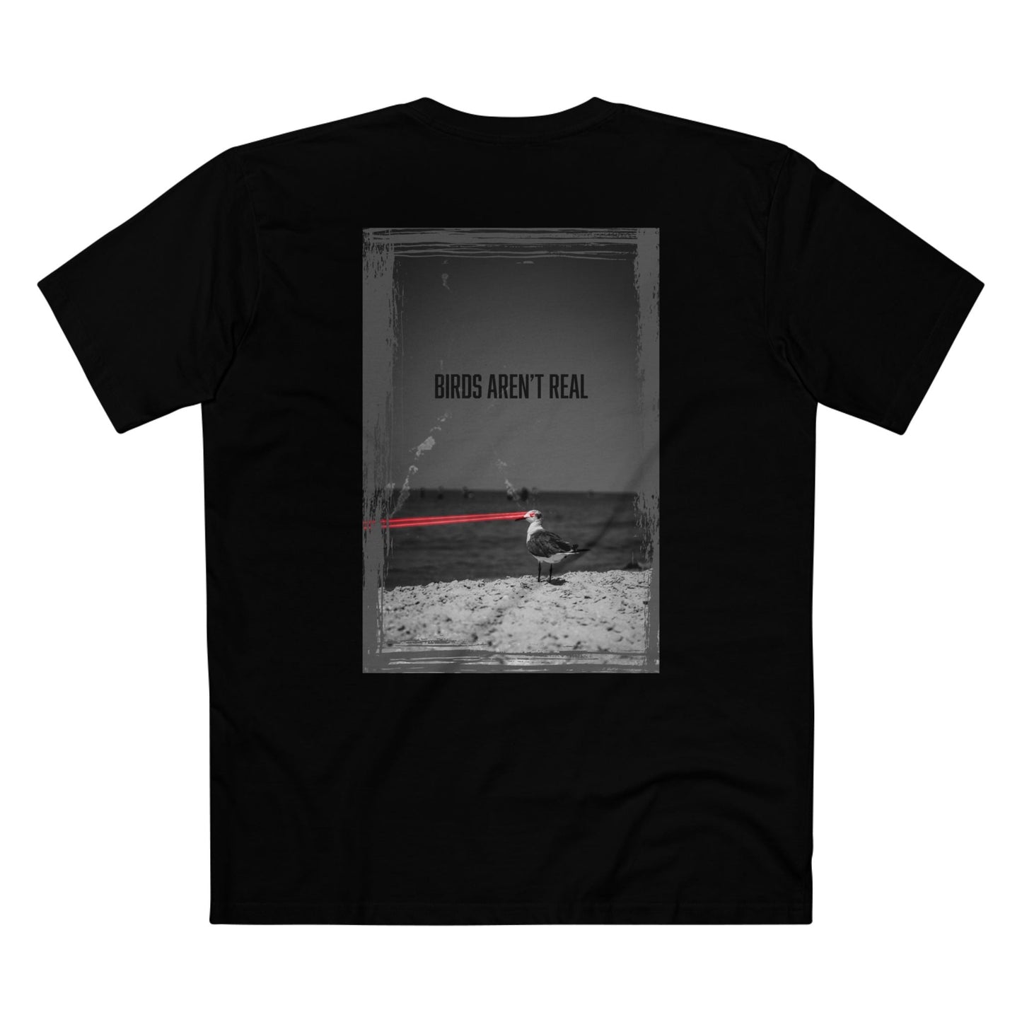Birds Aren't Real T-Shirt