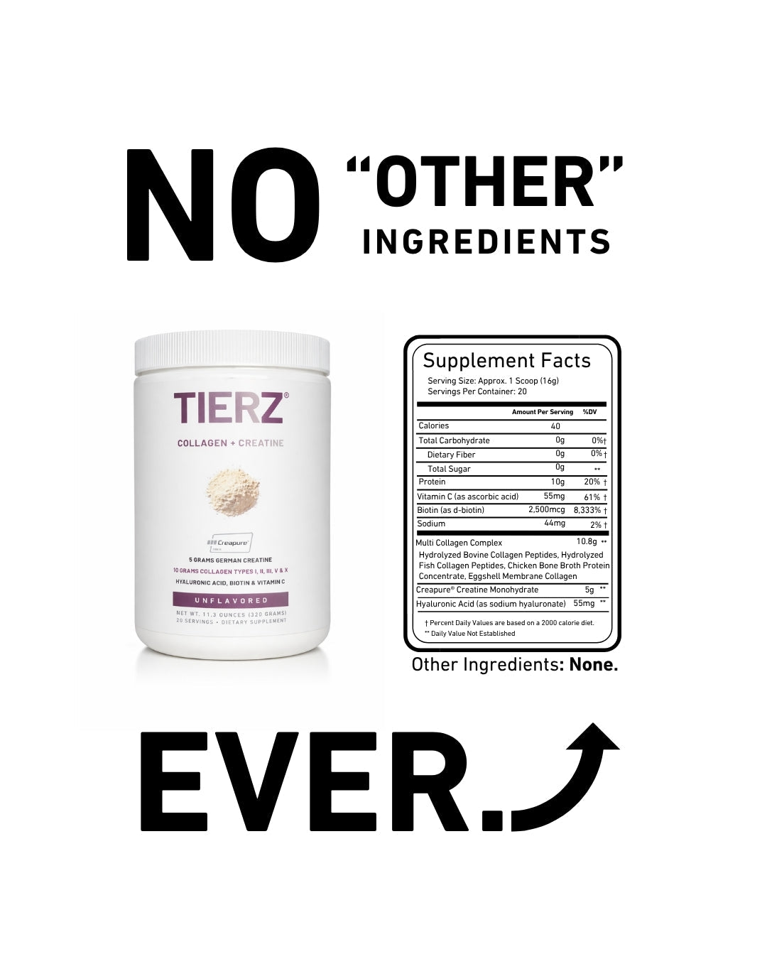 Tierz® Collagen + Creatine | Strength & Recovery