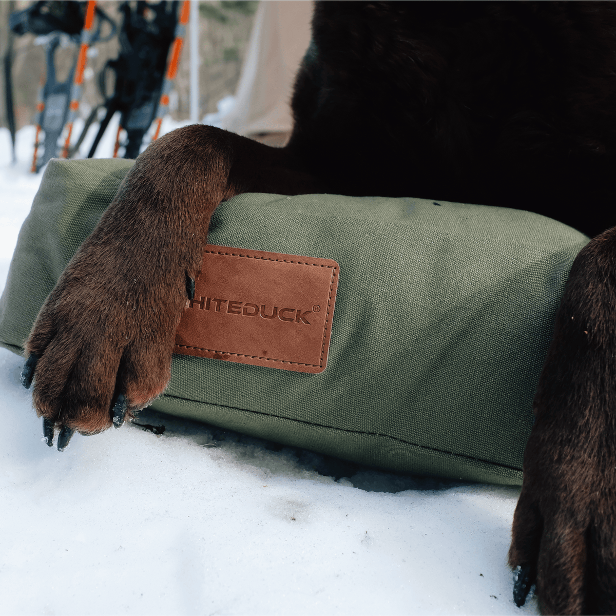 Dog Bed