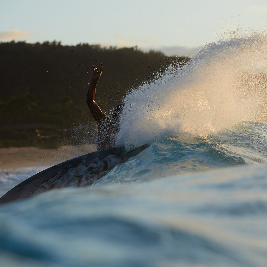 JONES SURFBOARDS TWIN FIN [AKA THE RICK CANE PRO MODEL]