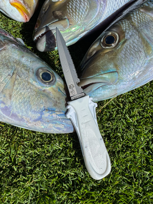 Dive Knife by 7 Seas | Titanium Alloy | T1 Series