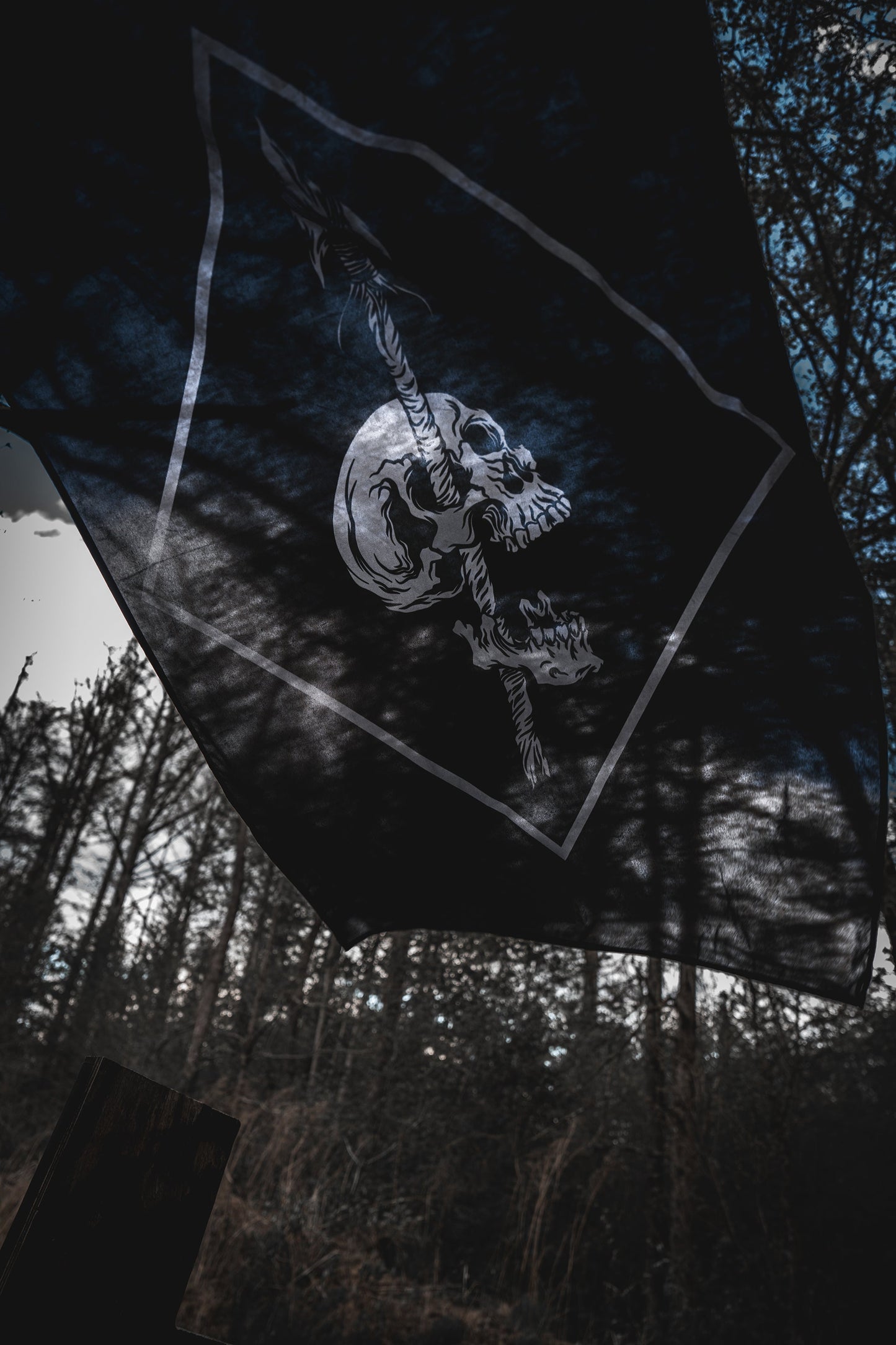 Pierced Flag